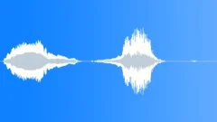 Human voice clipSound Effect