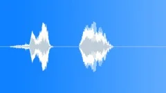 Human voice clip Sound Effect