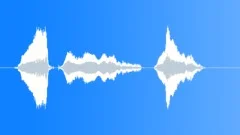 Human voice clip Sound Effect