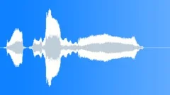 Human voice clip Sound Effect