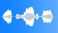 Human voice clipSound Effect