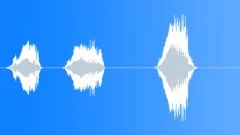 Human voice clip Sound Effect