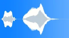 Human voice clip Sound Effect