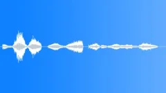 Human voice clip Sound Effect