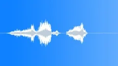 Human voice clip Sound Effect