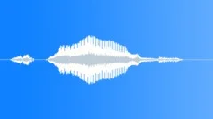 Human voice clipSound Effect