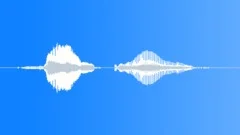Human voice clip Sound Effect