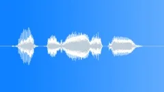 Human voice clipSound Effect