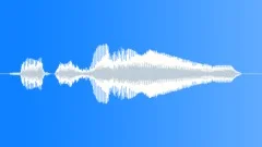 Human voice clipSound Effect
