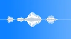 Human voice clip Sound Effect