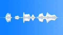 Human voice clip Sound Effect