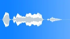 Human voice clipSound Effect