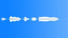 Human voice clipSound Effect