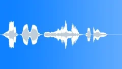 Human voice clipSound Effect