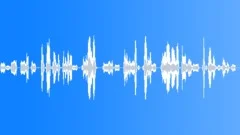 Human voice clip Sound Effect