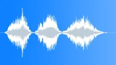 Human voice clip Sound Effect