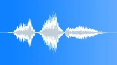 Human voice clip Sound Effect