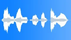 Human voice clip Sound Effect