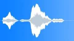 Human voice clip Sound Effect