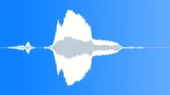 Human voice clipSound Effect