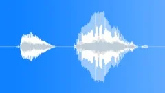 Human voice clipSound Effect
