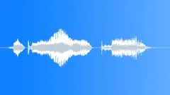 Human voice clipSound Effect
