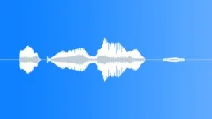 Human voice clip Sound Effect