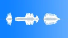 Human voice clipSound Effect