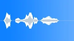 Human voice clipSound Effect