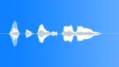 Human voice clipSound Effect