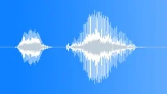 Human voice clip Sound Effect