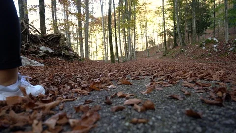 Human walking is accomplished with a strategy called the double pendulum. Stock Footage 118771675