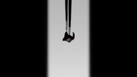 Human Walking Stock Footage 331871521