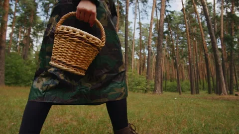 Human walking in the forest with a basket. forester collects mushrooms. Nature Stock Footage 254117227