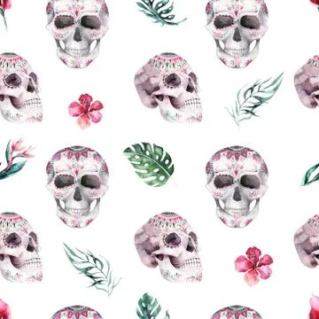Human watercolor skull seamless pattern. Mexican Day of the dead. Tropic Head Stock Illustration