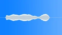 Human whistleSound Effect