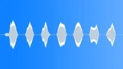Human whistleSound Effect