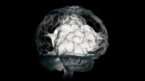 Human white brain on black, science anat... | Stock Video | Pond5