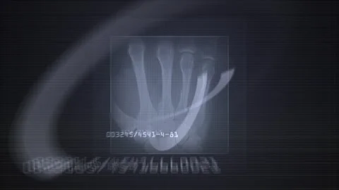 Human X-Ray Digital Display Elements Scan Vidéo 304371018