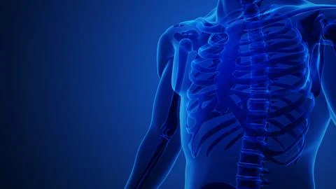A human x-ray with the left rib bone with blue background 스톡 일러스트