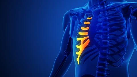 A human x-ray with the left rib bone with blue background Ilustración de archivo