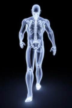 Human xray Stock Illustration