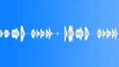 HUMAN, YELLSound Effect