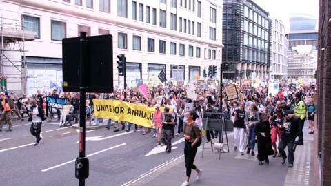 “Humane slaughter is a lie, animals do not want to die” chanted at XR March Stock Footage 160171693