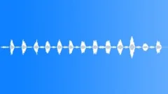 Human,Female,Breaths,Exercise,Heavy,FastSound Effect