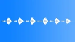 Human,Female,Breaths,Exercise,SteadySound Effect