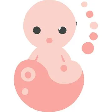 Humanfetus Human Development Embryo Zygote Support Stock Illustration