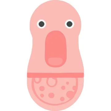 Humanfetus Human Development Infant Survival Life Stock Illustration