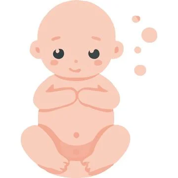 Humanfetus Human Development Trimester Baby Ovum Stock-Illustration