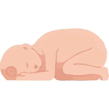 Humanfetus Human Healing-process Embryo Baby Healing-process Ilustración de archivo